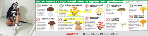 индика Покачи