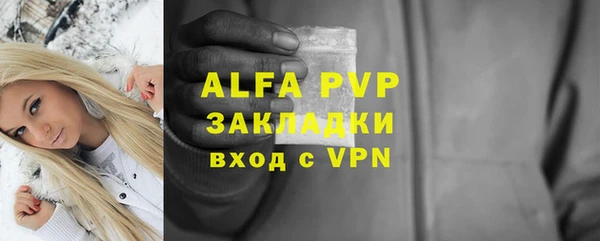 индика Покачи