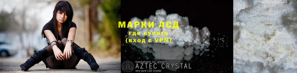 индика Покачи