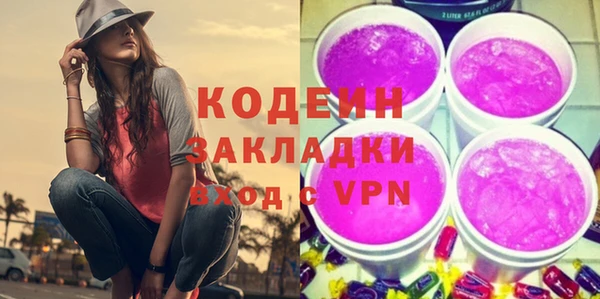 индика Покачи