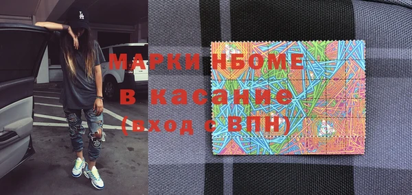 индика Покачи