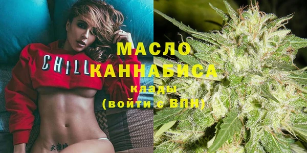 индика Покачи