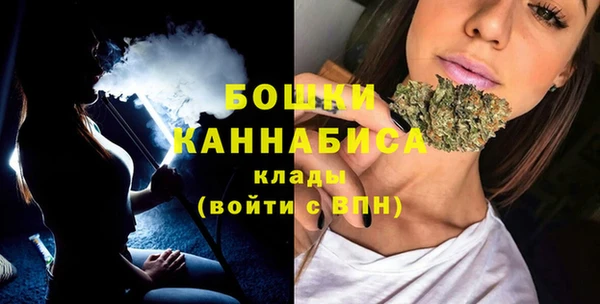 индика Покачи
