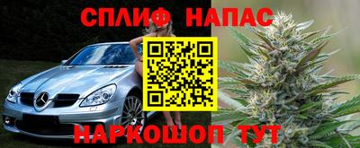 амф Донской