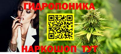 амф Донской
