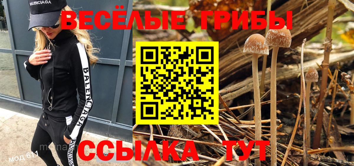 Галлюциногенные грибы Psilocybe  Галлюциногенные грибы Psilocybe  Топки  Вход с VPN 