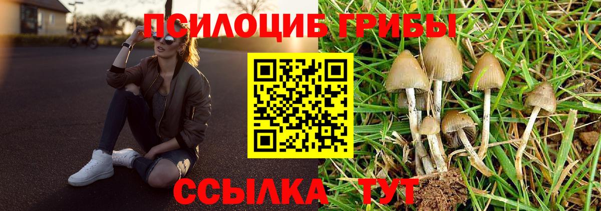 Галлюциногенные грибы Cubensis Топки