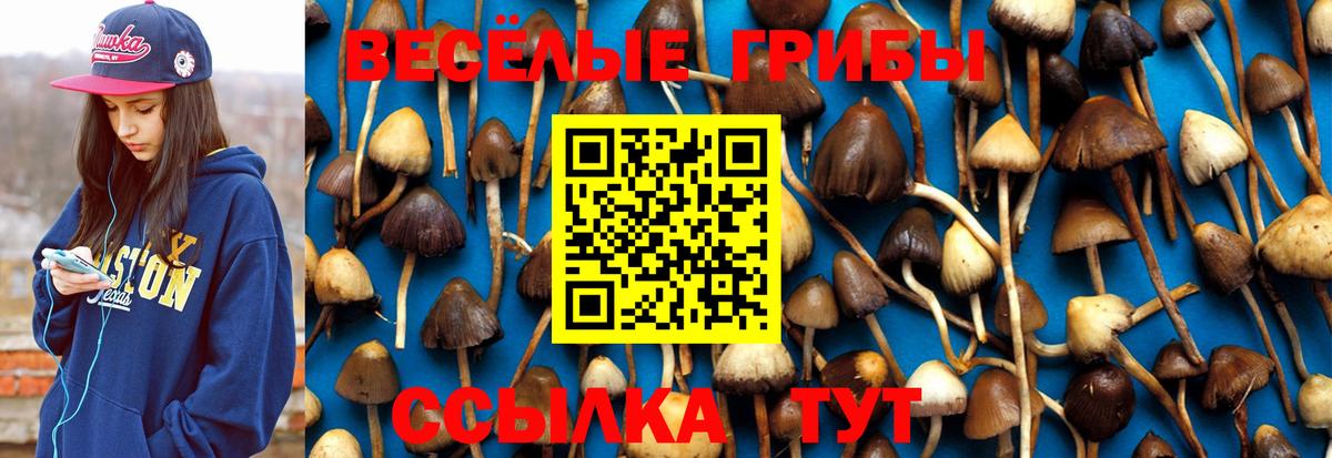 Галлюциногенные грибы Magic Shrooms Топки
