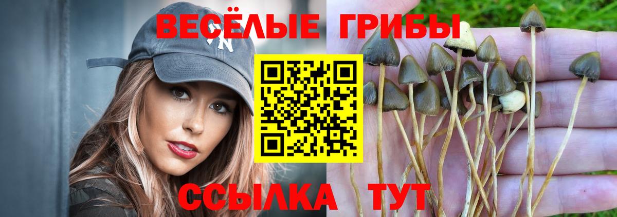 Амфетамин Топки