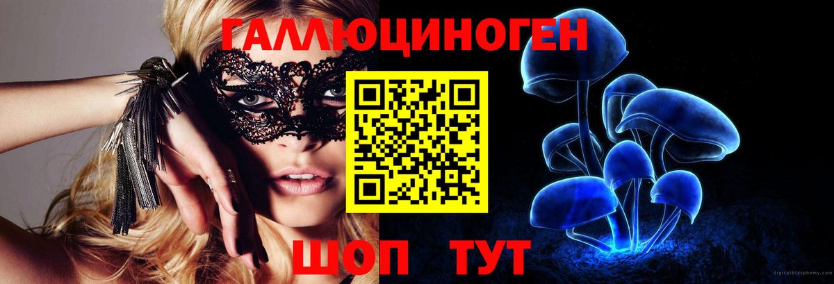 наркота  Топки  Галлюциногенные грибы Cubensis 